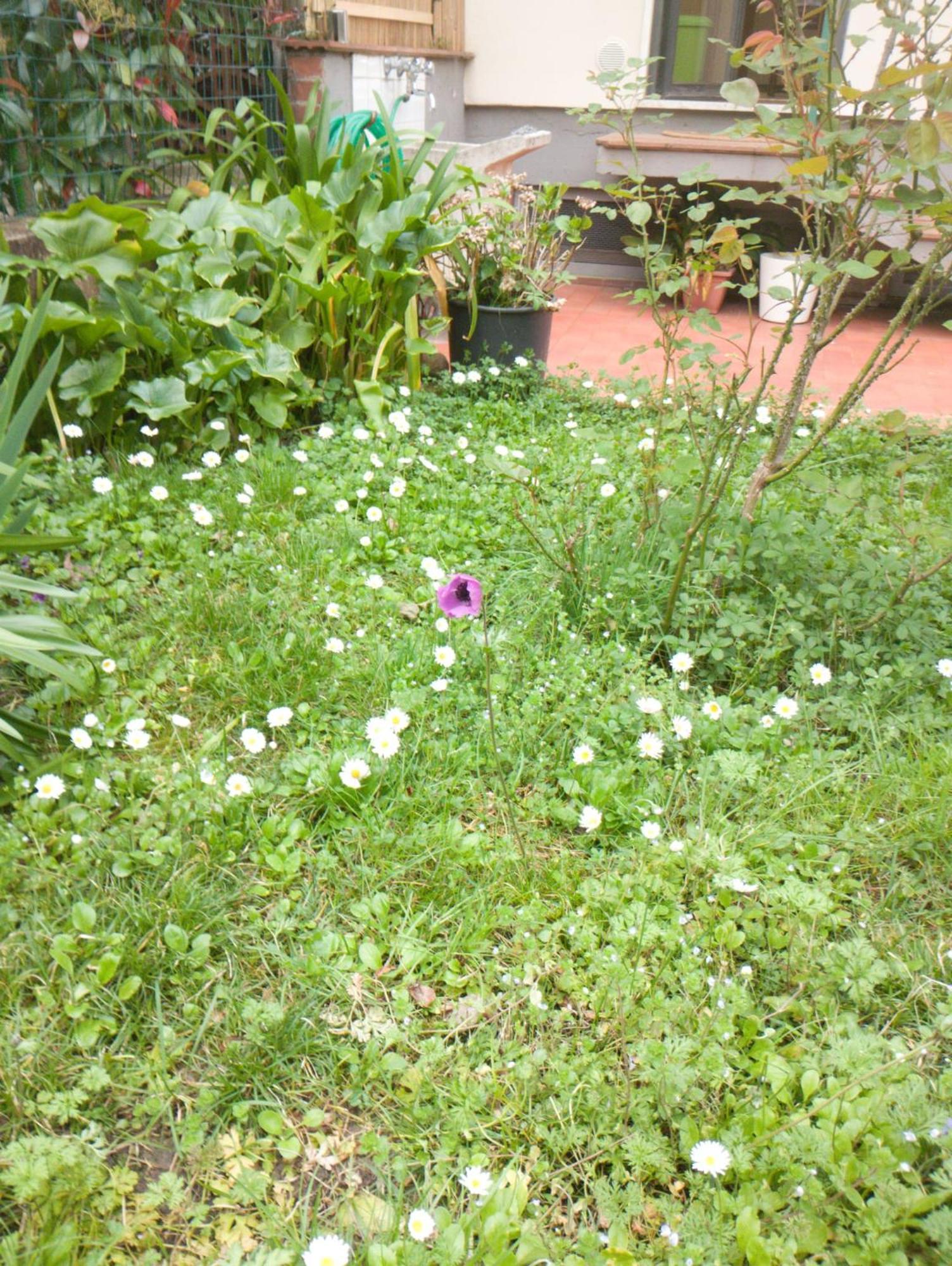 Casa Spadi ฟลอเรนซ์ ภายนอก รูปภาพ